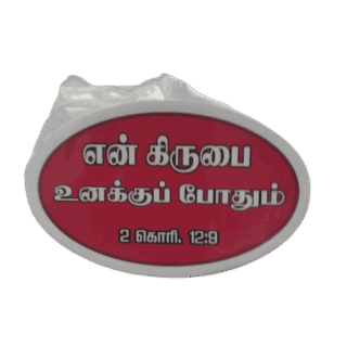 Magnets Oval Shape White Color