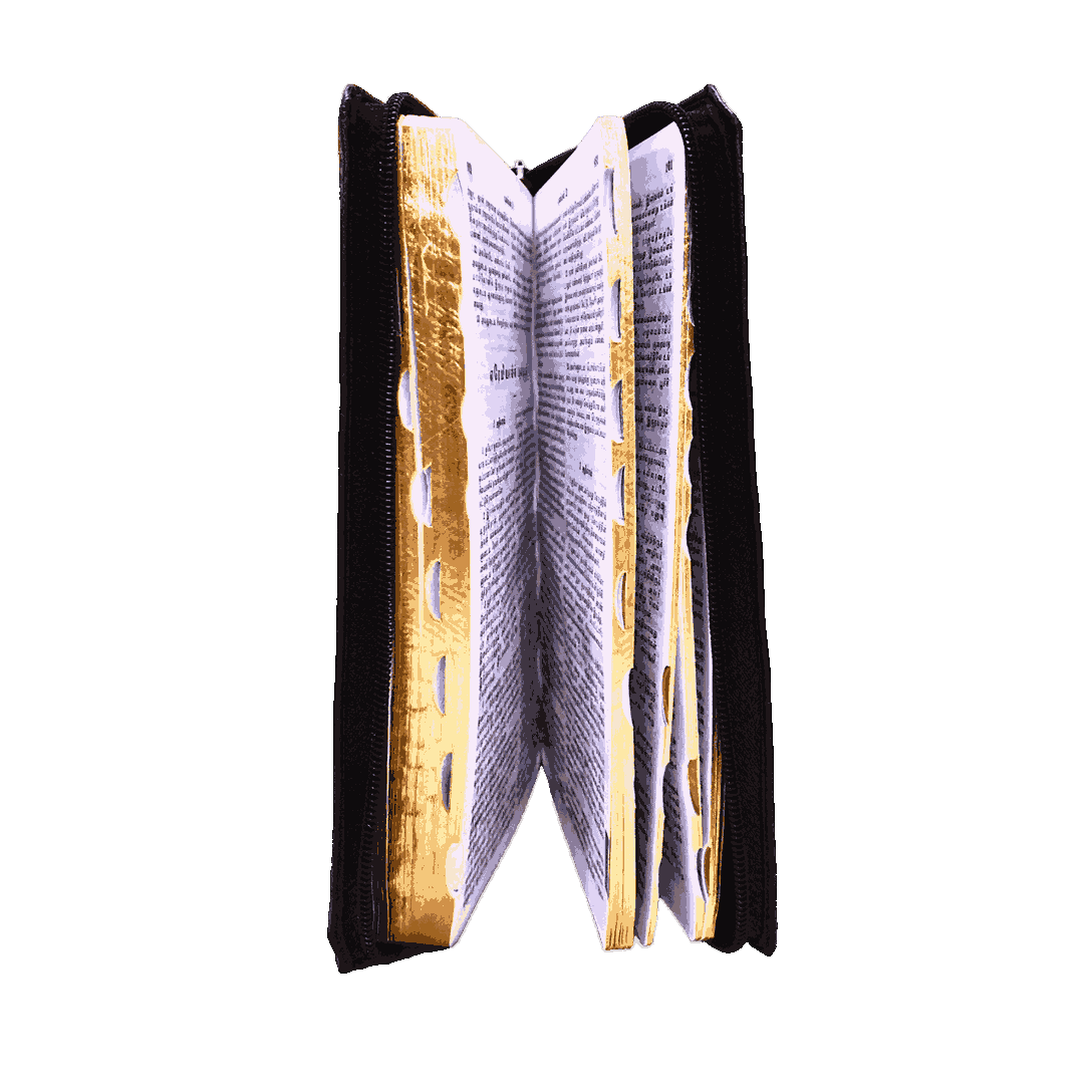 Demy Size Bible Tamil Gilt Binding (14.5 cm x 22cm) - Image 5