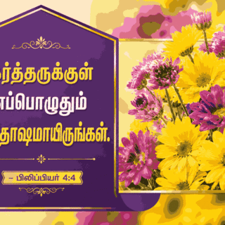 Bible Verses Frame Boards Big Size 12 x 8 inches