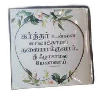 Laminated 12 x 12 inches Box Model Apple Shape with Bible Verses (Set 2)